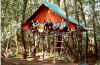 19993.jpg (73494 byte)