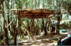 campo9910.jpg (95265 byte)