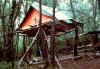 campo9914.jpg (82915 byte)