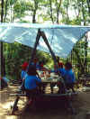campo9920.jpg (85794 byte)