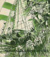 perone14.jpg (81430 byte)