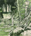 perone16.jpg (92413 byte)
