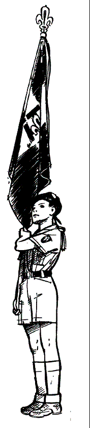 disegno Pierre Joubert