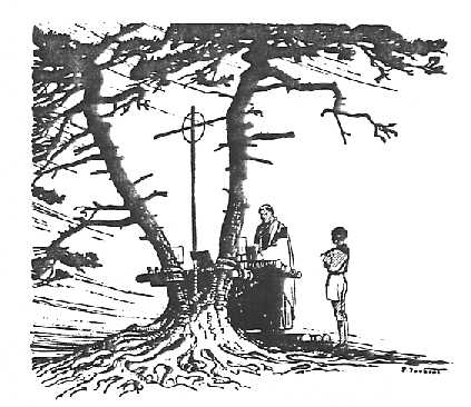 disegno Joubert