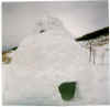 invernale984.jpg (18751 byte)